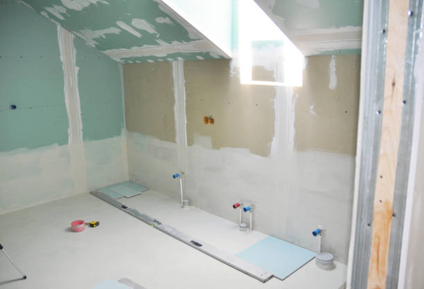 Best Mold Removal for HVAC Installations  in St Anthony, MN
