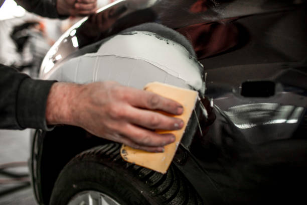 Best Forensic Mold Investigation  in St Anthony, MN