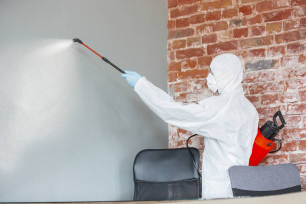 Best Mold-Related Health Consultation  in St Anthony, MN