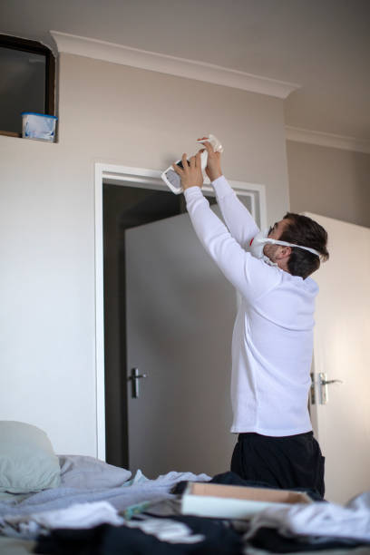 Best Emergency Mold Remediation  in St Anthony, MN