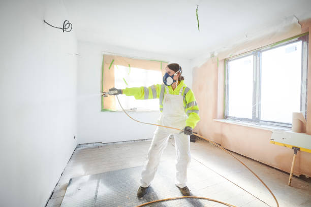 Best Water Damage & Mold Remediation  in St Anthony, MN