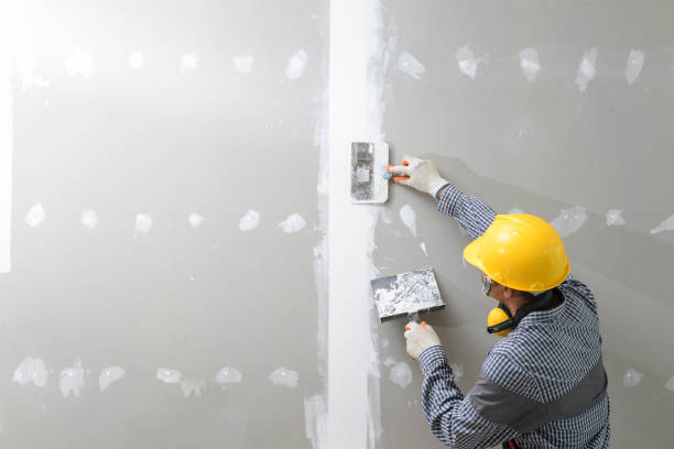 Best Indoor Air Quality Assessment  in St Anthony, MN