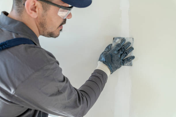 Best Mold Documentation for Insurance Claims  in St Anthony, MN