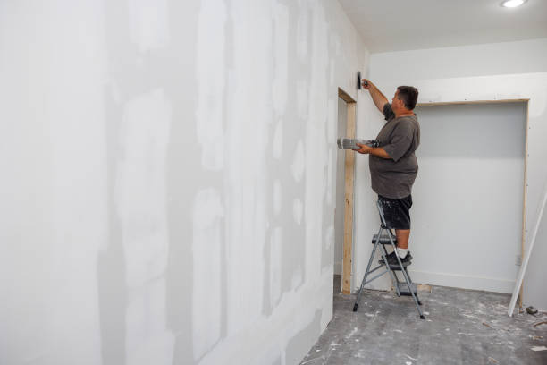 Best Mold Damage Restoration  in St Anthony, MN