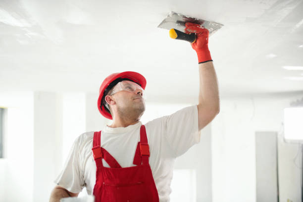 Best Crawl Space Mold Remediation  in St Anthony, MN