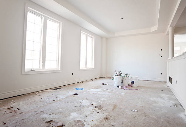 Best Basement Mold Removal  in St Anthony, MN