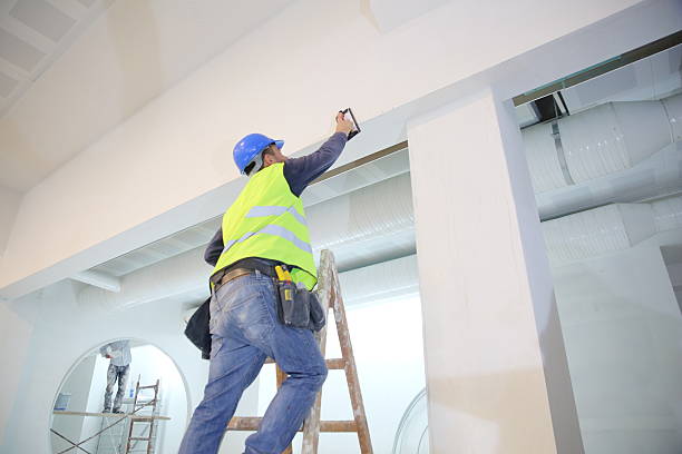 Best Black Mold Removal  in St Anthony, MN
