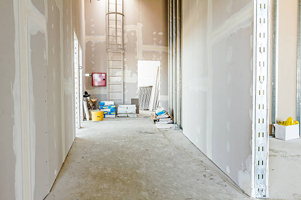 Professional Mold Removal in St Anthony, MN